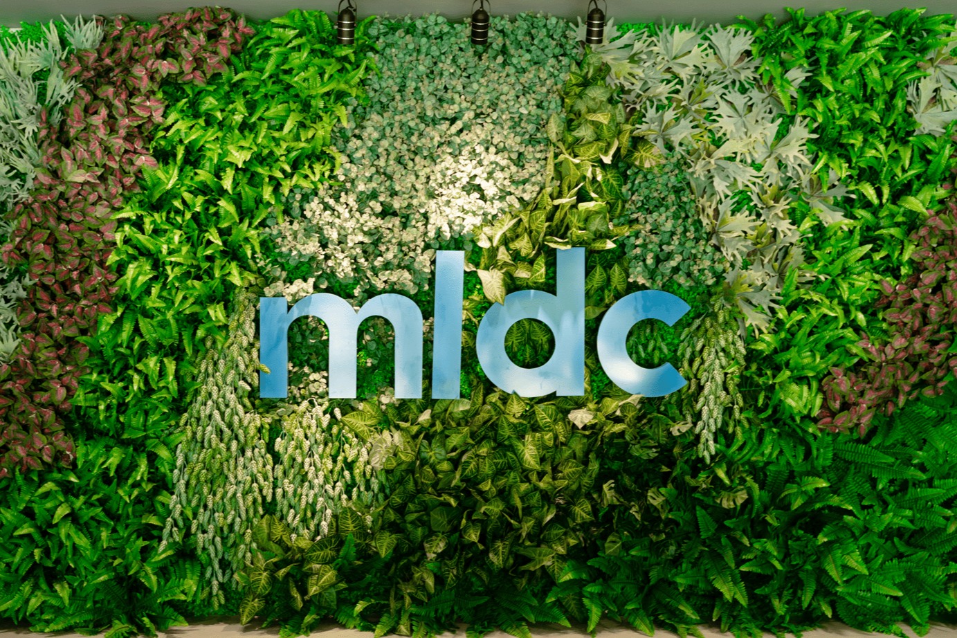 MLDC Berhad - Image 1