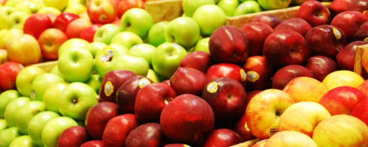 Fruitable Fresh (M) Sdn Bhd - Image 1