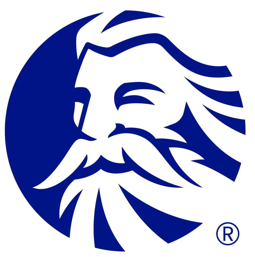 HORIZON NETWORK logo